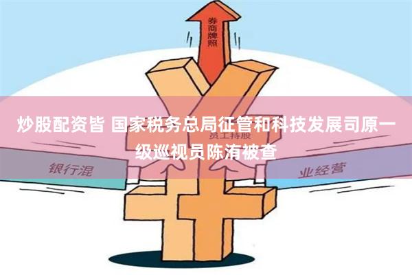 炒股配资皆 国家税务总局征管和科技发展司原一级巡视员陈洧被查