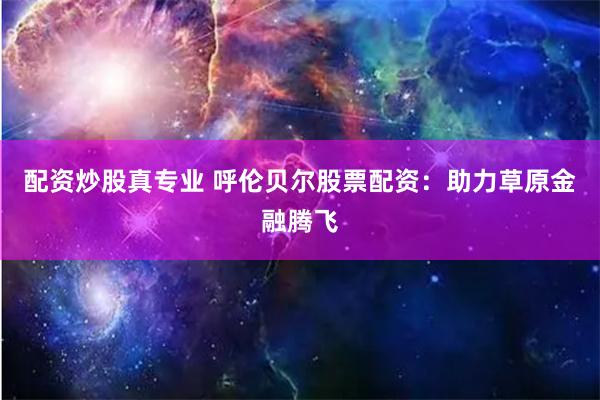 配资炒股真专业 呼伦贝尔股票配资：助力草原金融腾飞